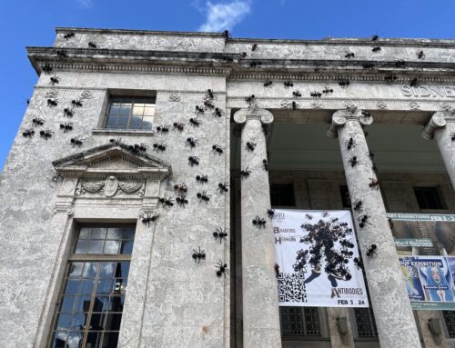 Giant ant art display using recycled Ian debris in downtown Fort Myers